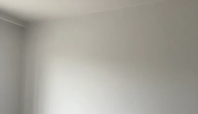 技术外包如何实现系统优化？